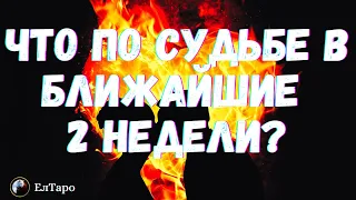 ГАДАНИЕ ОНЛАЙН. ТАРО ДЛЯ МУЖЧИН. ЧТО ЖДЁТ ВАС В БЛИЖАЙШИЕ 2 НЕДЕЛИ? ЧТО ПО СУДЬБЕ?