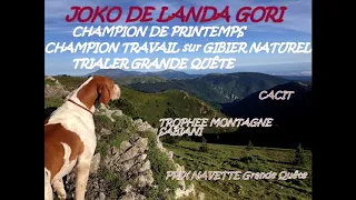 POINTERS CHAMPIONS JOKO DE LANDA GORI