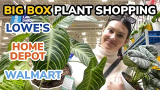 $1-$7 Plants! Big Box Plant Shopping - Lowe's, Home Depot, & Walmart Plants - Plant Shop With Me
