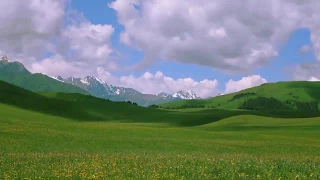 Футаж природа Казахстан  Footage nature of Kazakhstan