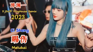 洋澜一 - 赐伤 - (DjDa牛 ProgHouse Remix 2023) - Ci Shang - Melukai #dj抖音版2023