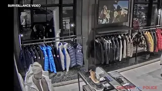 Smash and grab caught on camera at Chicago store: police