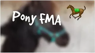 Pony FMA #4 || Endlich wieder Sonne 😍