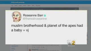 Chicago Professor Breaks Down Meaning Of Roseanne Barr's Racist Tweet