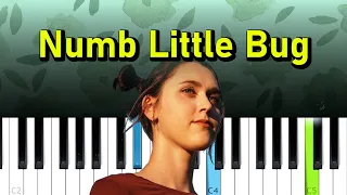 Em Beihold - Numb Little Bug, tiktok  (Piano tutorial)