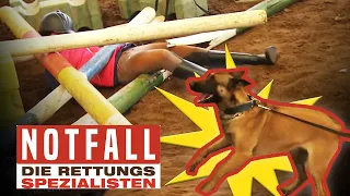 Schlimmer Reitunfall! Stange steckt im Bein, aggressiver Hund raubt Nerven | Die Spezialisten |SAT.1