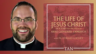 Life of Jesus Christ in a Year: From the Visions of Anne Catherine Emmerich