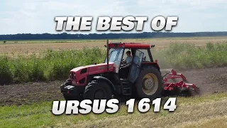 🇵🇱The Best Of Ursus 1614🔥GR Maciejewski🚨