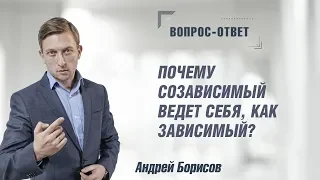 Почему созависимый ведет себя, как зависимый? Андрей Борисов