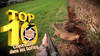 Top 10 Hunting Dreams n°16 - February 2024 - Special edition "Very close Roe Deer"