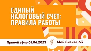 Единый налоговый счет: правила работы