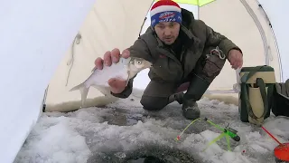 Зимняя Рыбалка!Белоярское водохранилище,ловля плотвы и леща в начале глухозимья!!