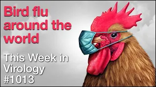 TWiV 1013: Bird flu around the world