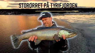 Ørretfiske med Martin Syverud på Tyrifjorden // Mars 2024