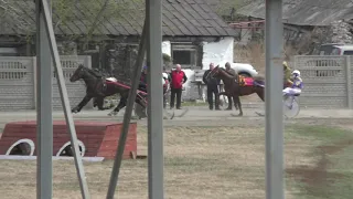 Приз В честь Праздника весны и труда         Для лошадей рысистых пород старшего возраста, 1600 м