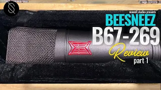 BeesNeez B67-269 Microphone Review | Part 1