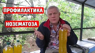 Профилактика от нозематоза  Борьба с пчелиным воровством