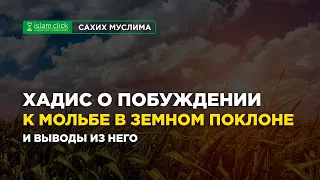 Хадис о побуждении к мольбе (ду'а) в земном поклоне (суджуде) и выводы из него | Абу Яхья Крымский