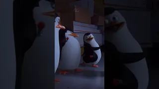 if i voiced the penguins in the penguins movie