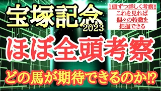 【宝塚記念2023】ほぼ全頭考察！個々の特徴を把握しどの馬が期待できるかを考える