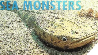 Sea Monsters [2004] - Astraspis Screen Time