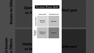 The Johari Window Model #shorts