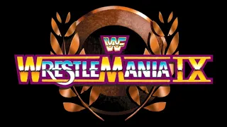 Wrestlemania IX Theme Song (No Promos - Lyrics Only)