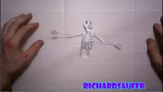 Оригами модель скелета Origami skeleton model