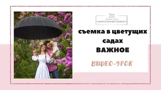 Съемка в цветущих садах. Важное!