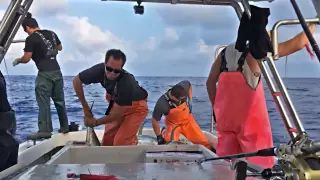 Deep Sea Ahi Catching