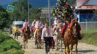 Традиційне гуцульське весілля на конях відбулося у Космачі