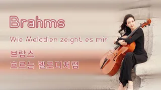 브람스 가곡 흐르는 멜로디처럼 첼로연주 | Brahms Lieder - Wie Melodien zeiht es mir Op.105 | Cellist Hee-Young Lim