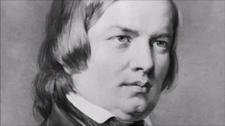 R. Schumann - Fantasiestücke Op. 12 (M. Argerich)