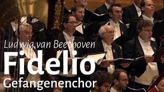 Gefangenenchor | Prisoners' Chorus from "Fidelio" [English subtitles]- Beethoven - Men's Choir MVC