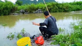 暴雨洪水刚退河里真藏货，阿琪下竿连上几条极品靓货，真过瘾【农村阿琪】