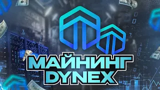 Майнинг Dynex (DNX)