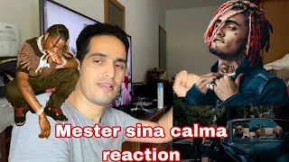 Mester sina calma reaction