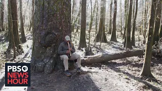 Bird expert and poet Drew Lanham on how he's inspired by the natural world