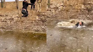 March 18: River ditch challenge, pony crossing the river step by step!  The Simple Happine