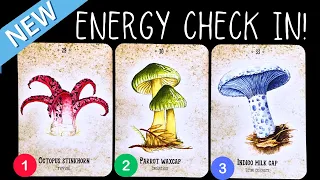 Energy Check In & Channeled Messages!✨💌⭐️🕯️✨ pick a card reading 🃏Timeless tarot card reading