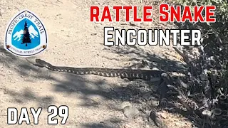 Day 29 | My Rattle Snake 🐍 Encounter | Pacific Crest Trail Thru Hike