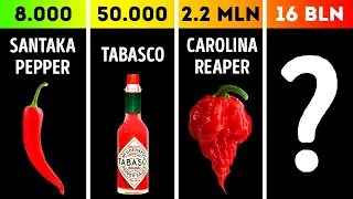 Comparison: Top Most Spicy Things Ever