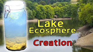 Creating a Lake Ecosphere │ An ECOSYSTEM within a SEALED glass JAR!