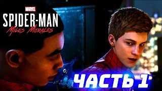 Spider-Man Miles Morales PlayStation 4 Прохождение Часть 1: Первый взгляд