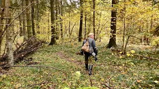 КОП, ОБАЛДЕТЬ СРАЗУ ТРИ СЕЛУХИ,ОБНАРУЖИЛИ В ЛЕСУ.