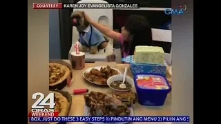 24 Oras: Usapang Pets: Ilang alagang aso, may kakaibang talent at tila tao umasta