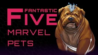 5 Best Marvel Pets - Fantastic Five