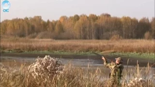 Косули и лоси под особой охраной. Какое наказание грозит браконьерам в новом охотничьем сезоне?