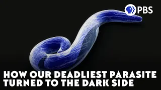 How Our Deadliest Parasite Turned To The Dark Side