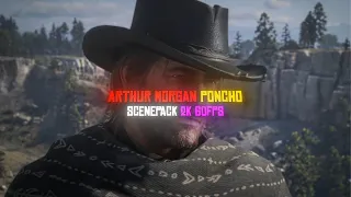 Arthur morgan Poncho Scene pack 1440p 60fps